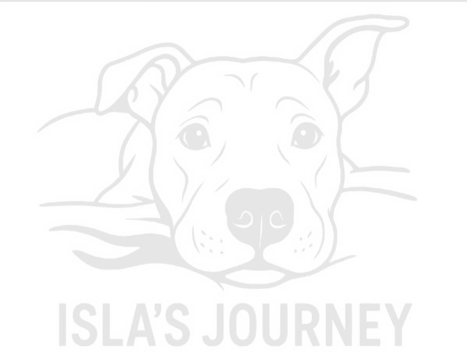 Isla's Journey Inc banner